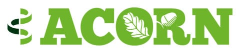Acorn
